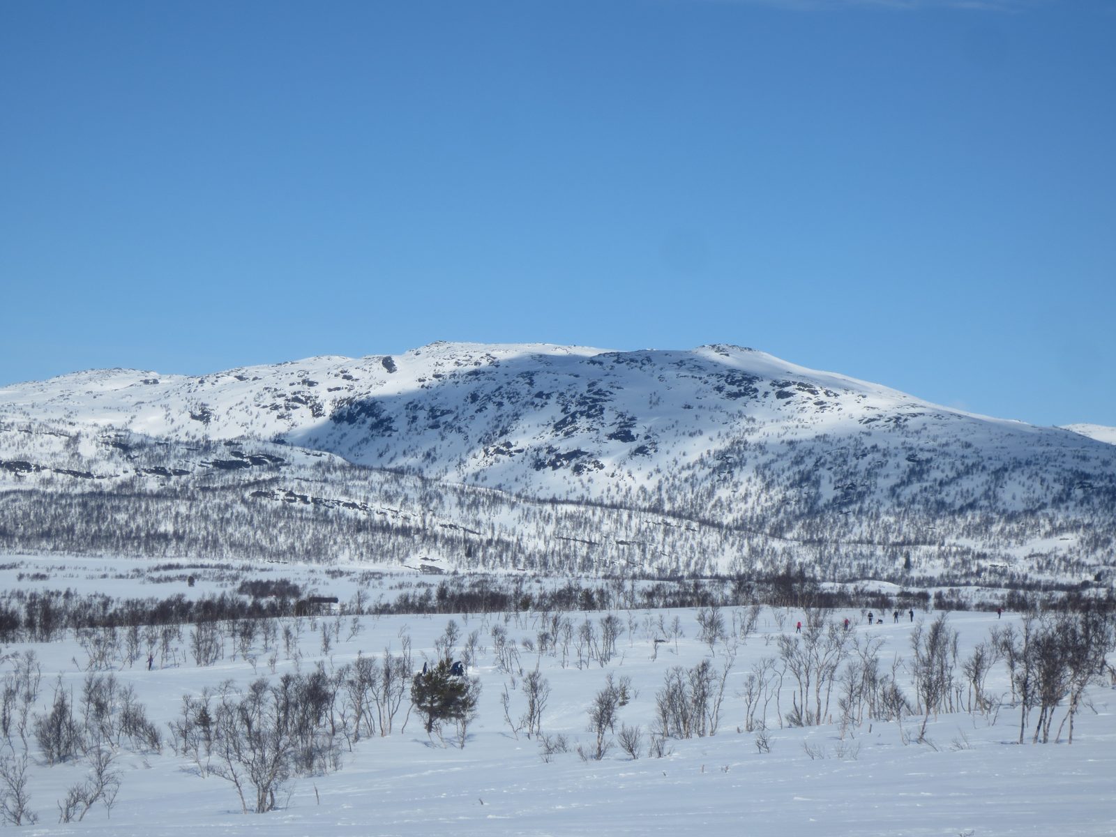 Hovden i Setesdal en sommerdag med Kaldsfjelli i bakgrunnen