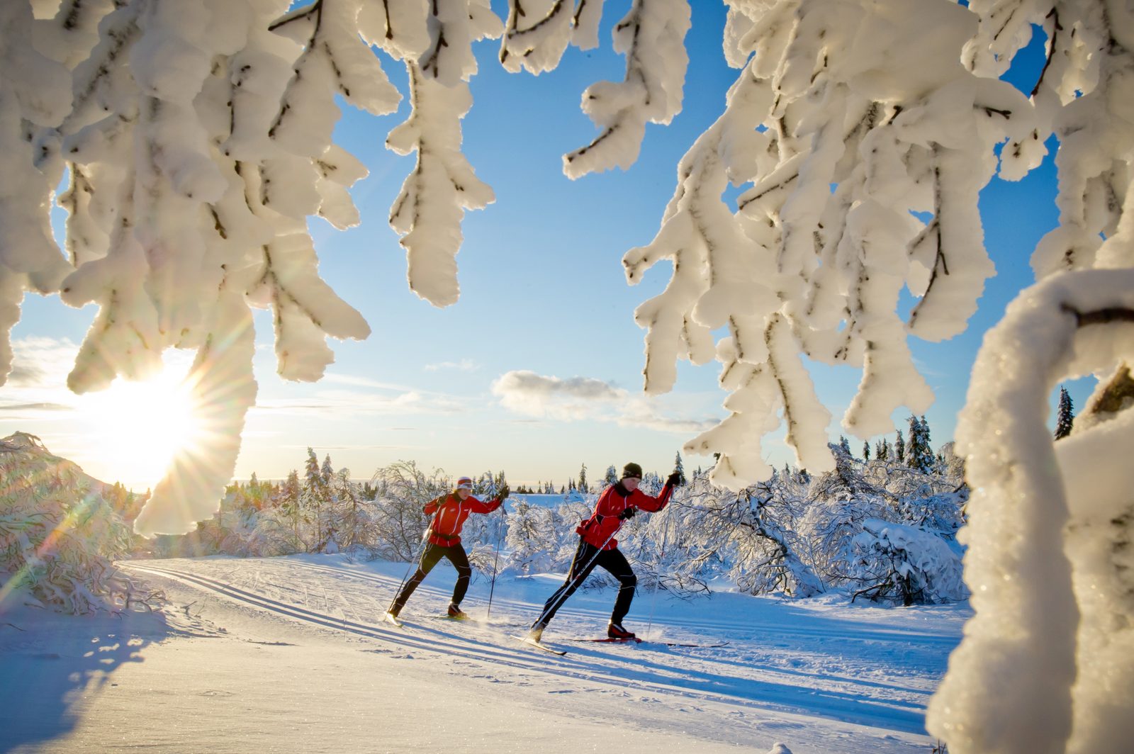 Syklister i Trysil Bike Arena med utsikt over Trysilfjellet og tilrettelagte flow-traseer i sommerterrenget