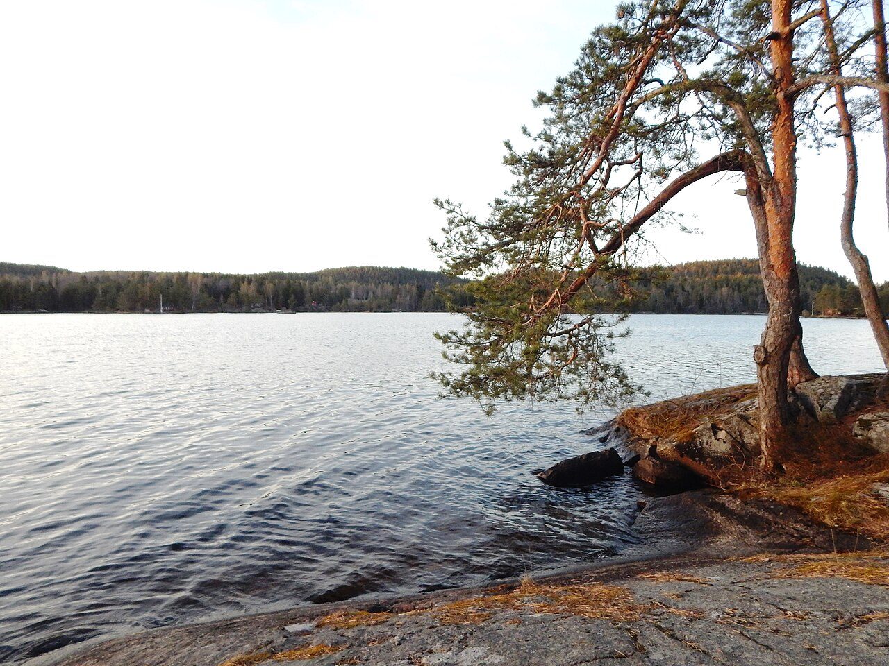 Åletjern badeplass på Gulset i Skien med stupetårn og flytebrygge