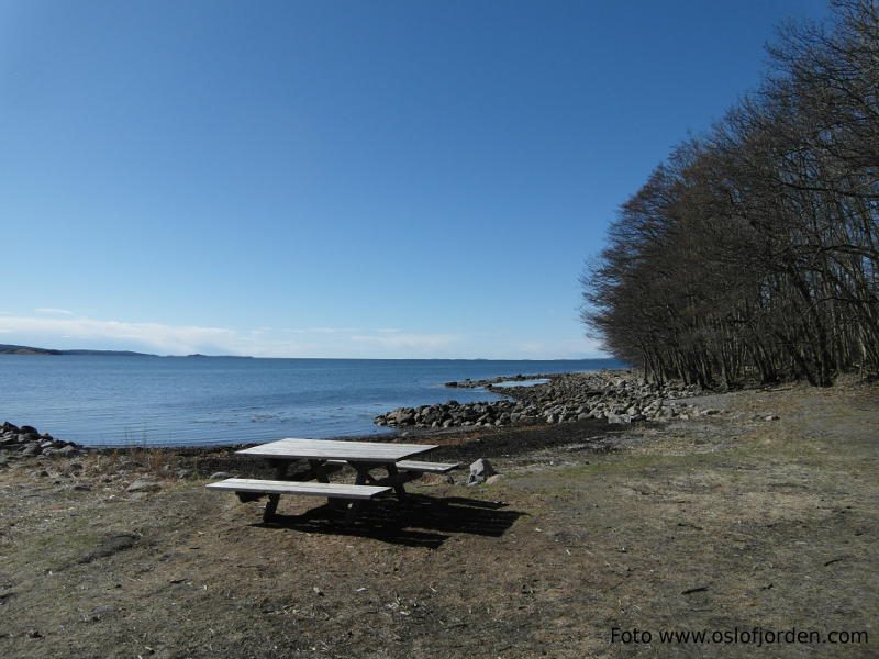 Sørvendt sandstrand i Albybukta på Jeløy, like nedenfor Alby gård i Moss kommune
