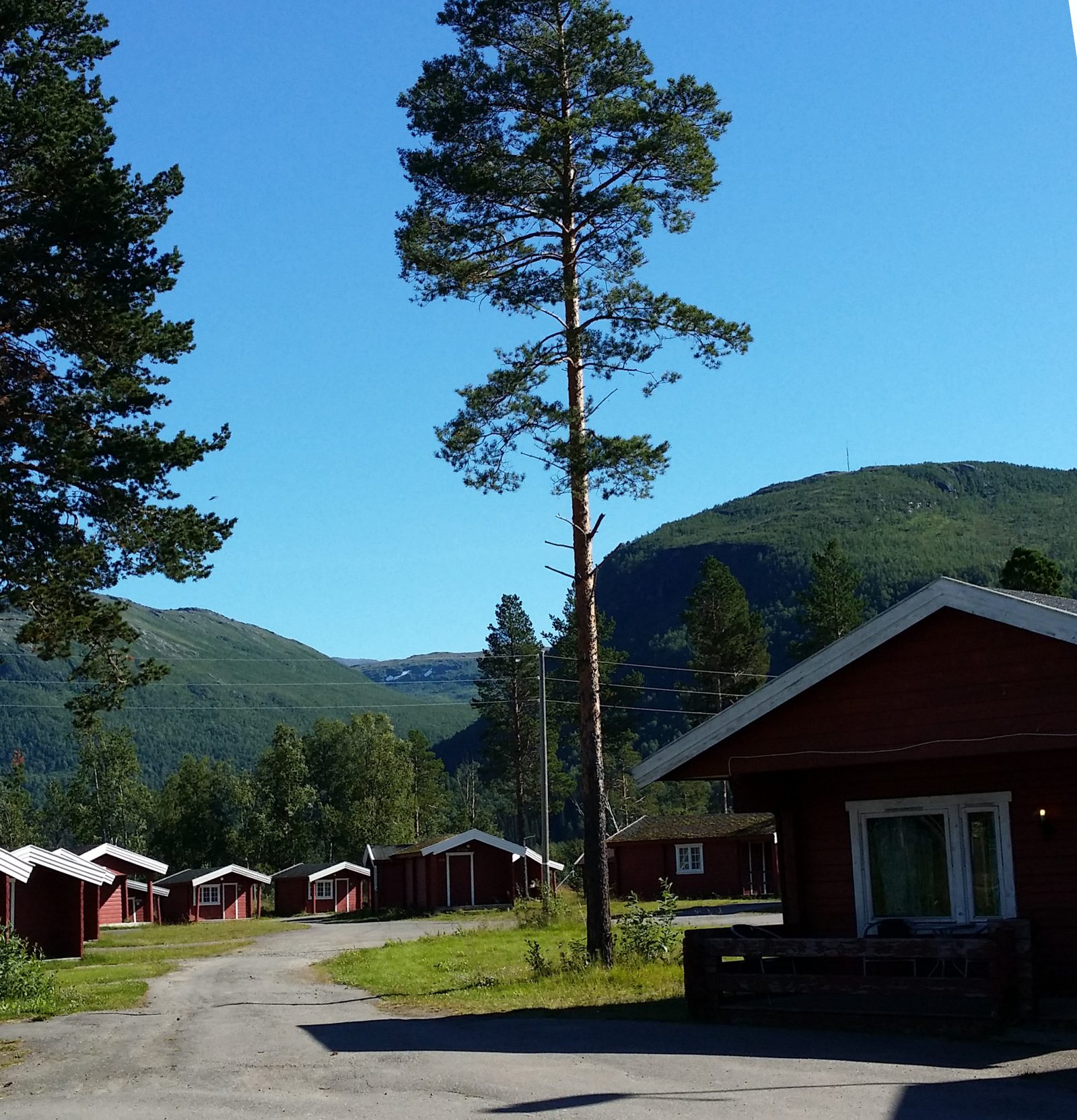 Bobil på oppstillingsplass i Salangsdalen ved Bardu Camping og Turistsenter, med bjørkeskog og fjell i bakgrunnen
