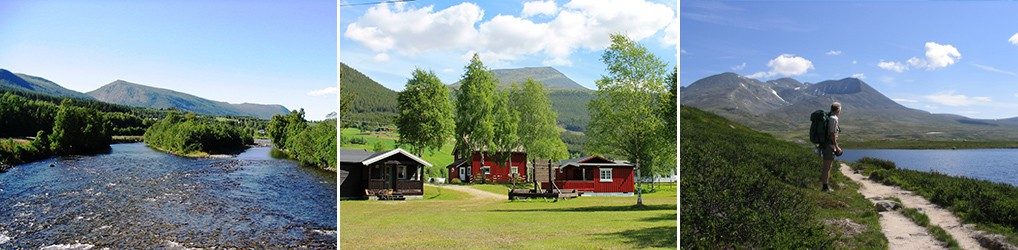 Tunet på Dovreskogen Camping med hytter og campingplasser i skogsmiljø ved Lågen
