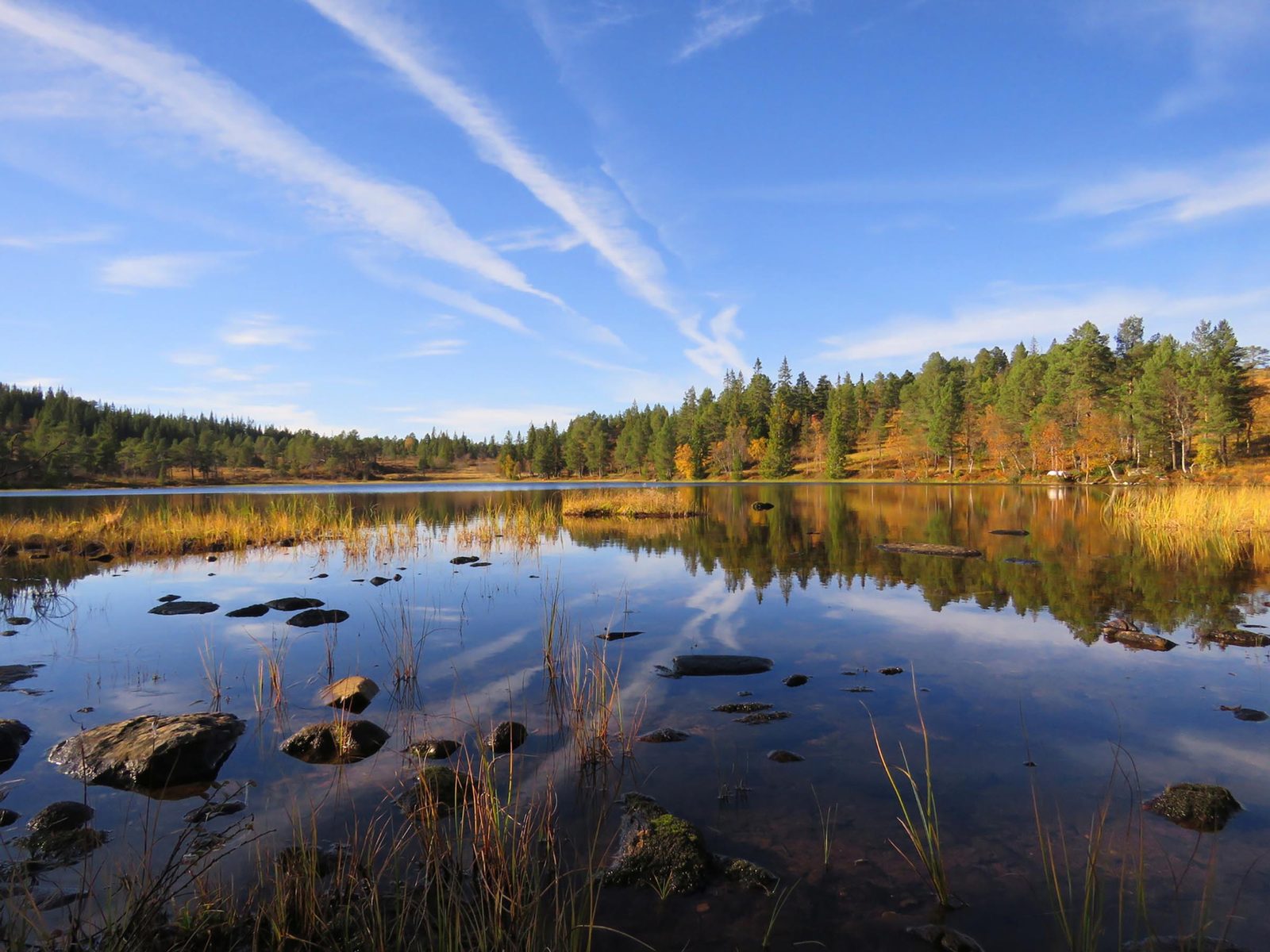 Høgkjølen Fjellcamp på Hemnekjølen i Orkland, Trøndelag