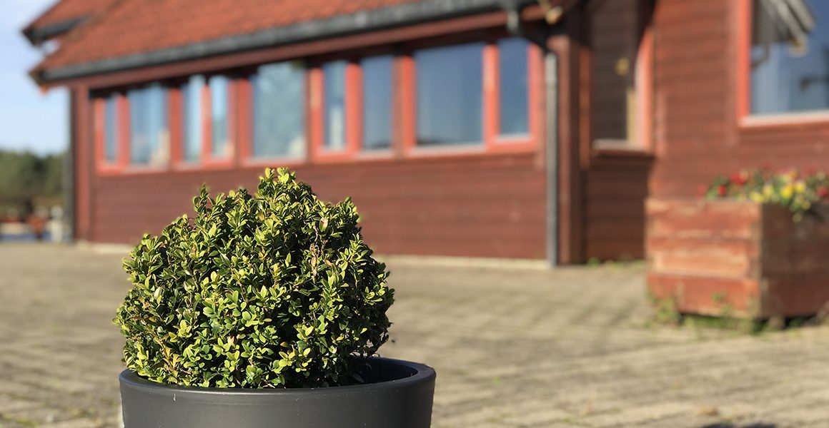 Kråko Gjestetun med solvegg og brygge innerst i Hellandsfjorden i Fitjar