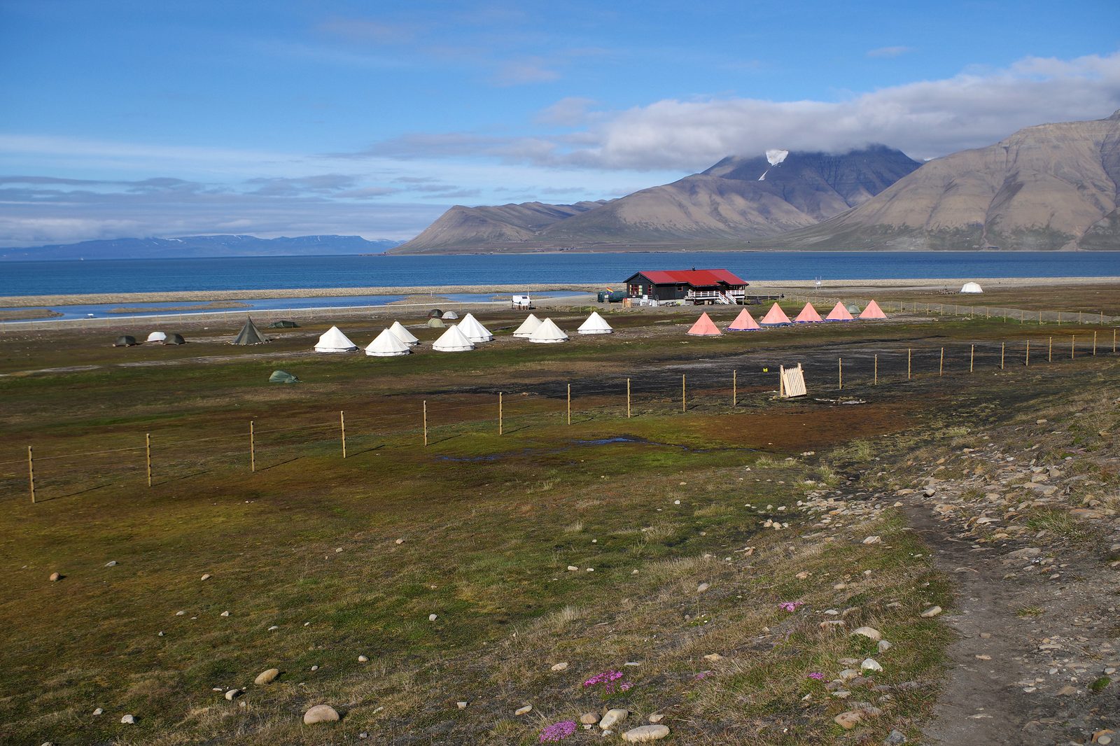 Telt på flat tundra ved Longyearbyen Camping med Isfjorden og snødekte fjell i bakgrunnen