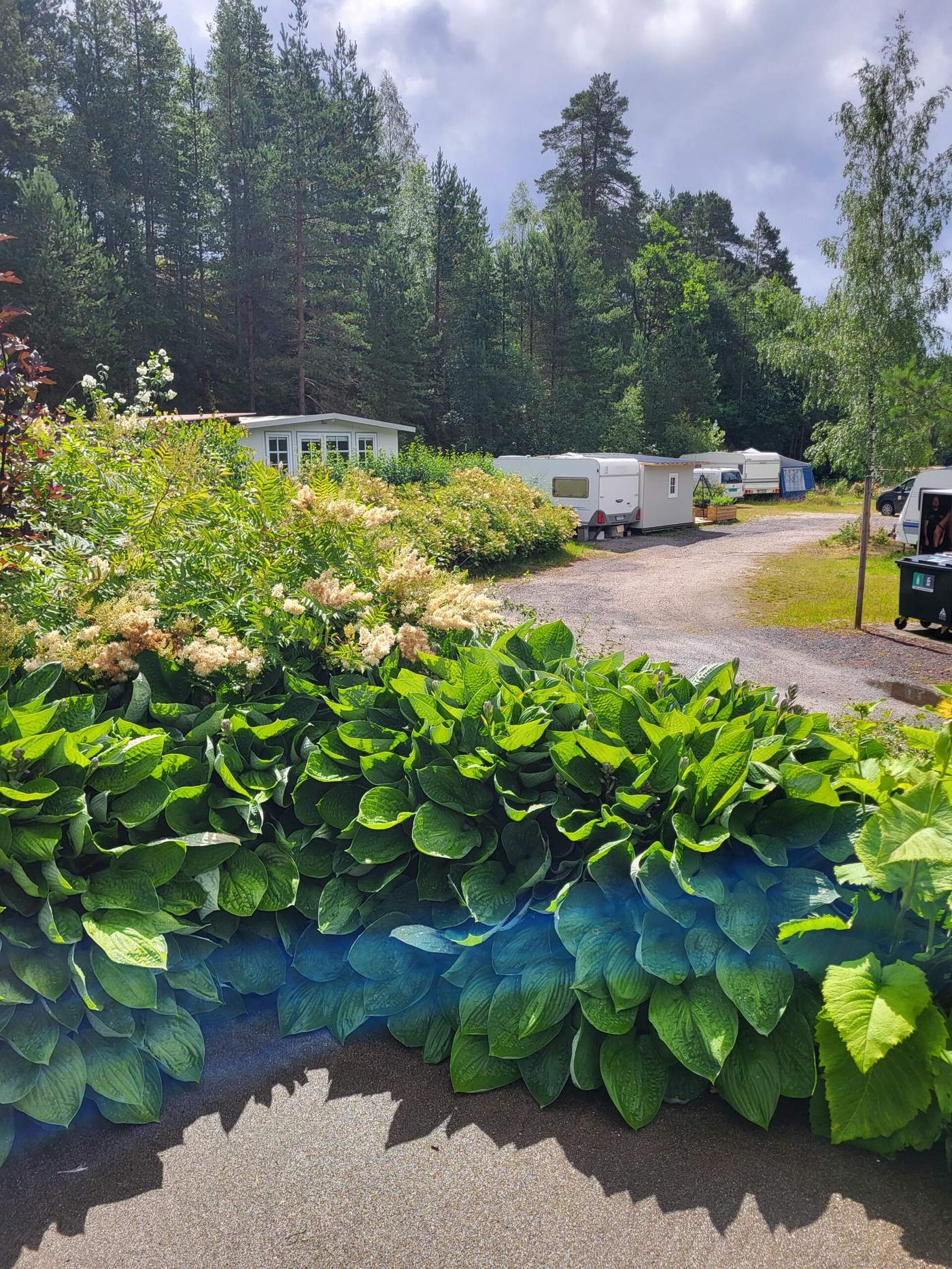 Mjåland Gård Villmarkscamp ved bredden av Mandalselva i Marnardal