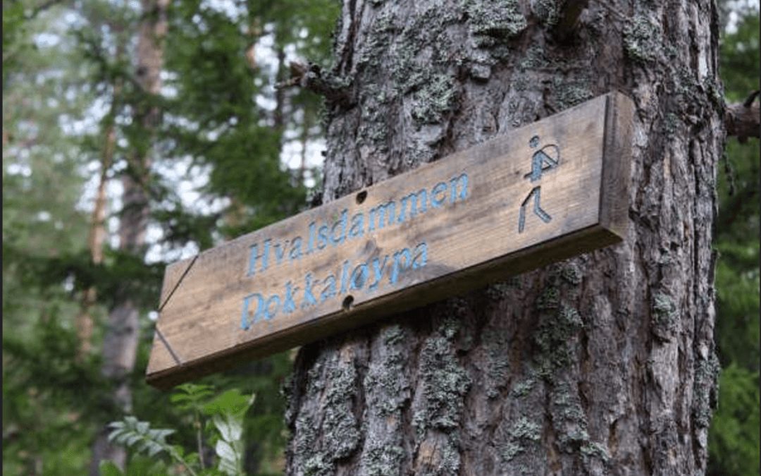 Natvedt Camping ved Tyrifjorden i Vikersund, med campingvogner og brygge ned mot vannet