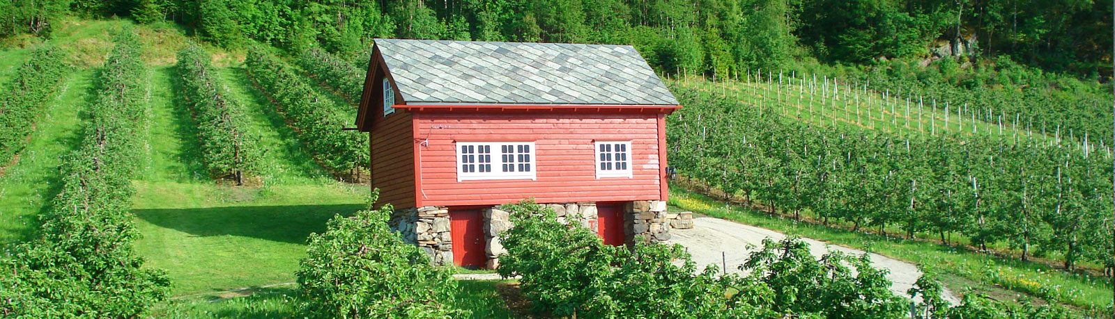 Ringøy Camping ved Hardangerfjorden i Kinsarvik med eplehage og liten båthavn