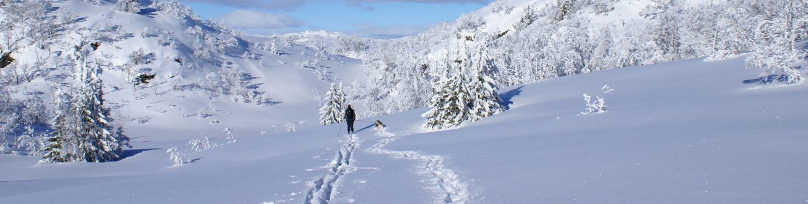 Hytter i tradisjonell Telemark-byggeskikk på Rjukan Hytte og Caravanpark med Gaustatoppen i bakgrunnen