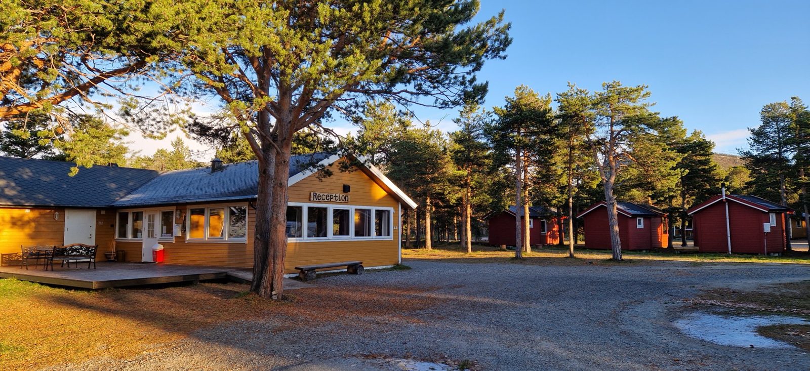 Hytter og campingplasser i furuskogen ved Solvang Camping innerst i Altafjorden