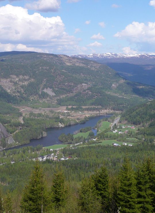Stavn Camping og Hytter i skogrike omgivelser ved Hallingdalselva nord for Flå