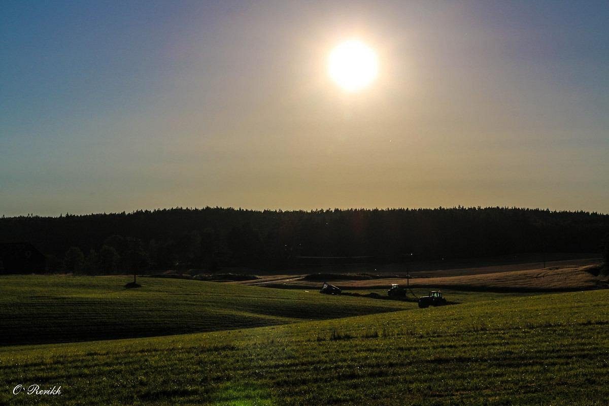Sukken Camping i skogsomgivelser i Marker med hytter, ildsted og natursti i grenseland mot Sverige