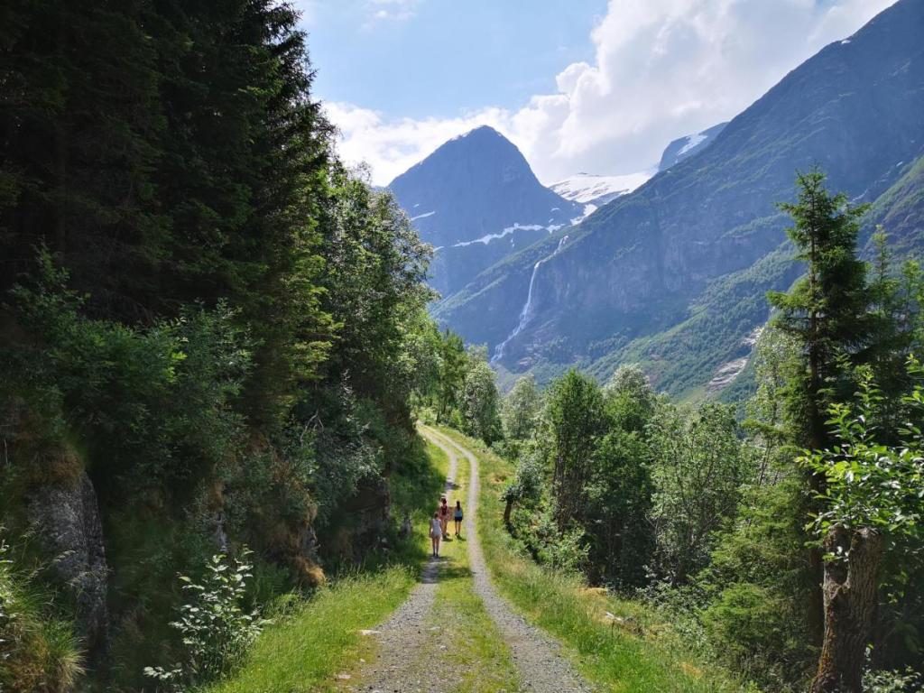Tradisjonsbakst i Oldedalen ved Briksdalsbreen — foto 5