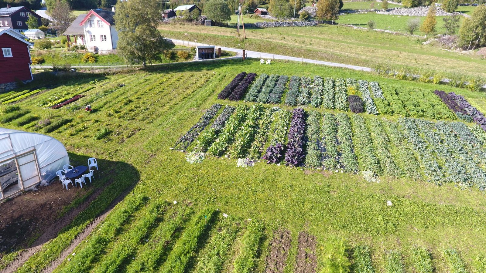 Ål Markedshage og Stabbursbutikken på Søre Dengerud i Hallingdal