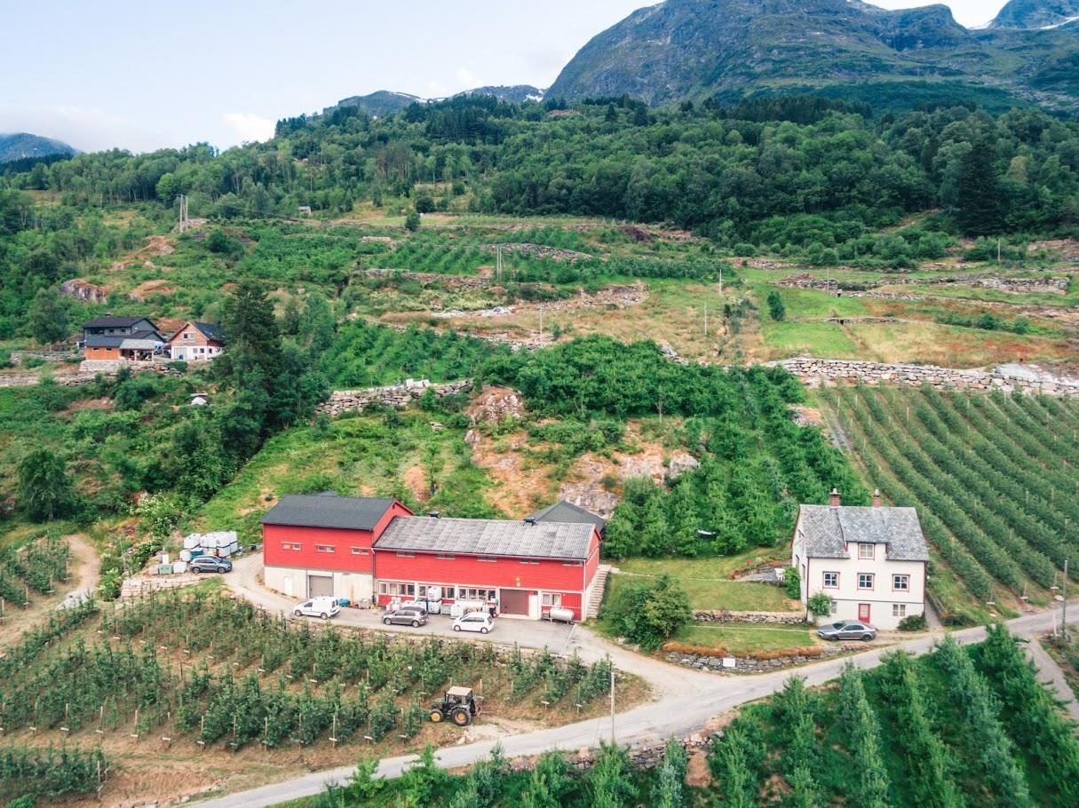 Aga Sideri ved Sørfjorden i Hardanger med epletre og utsikt over fjorden