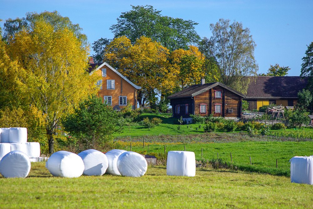 Alm Østre — foto 4