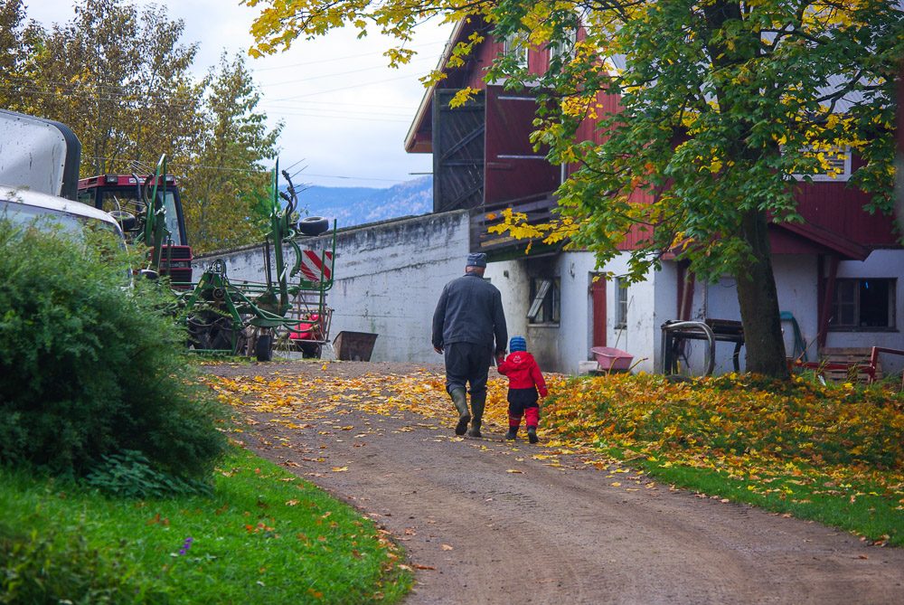Bilde fra Alm Østre