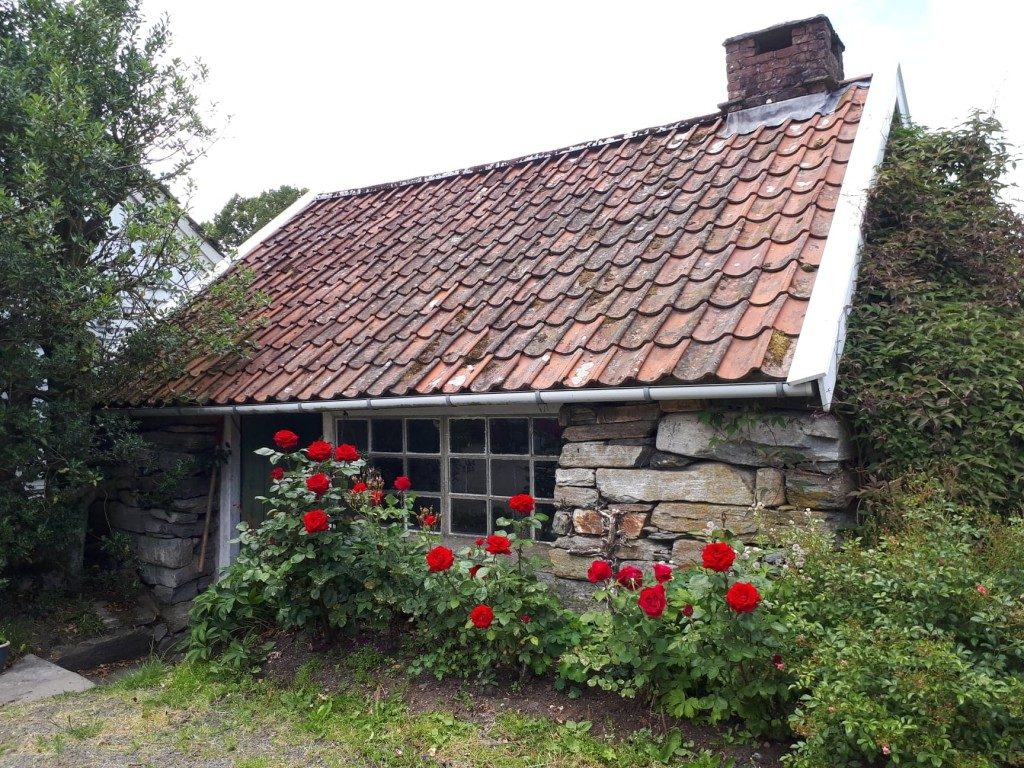 Bakkevig Gard — foto 5