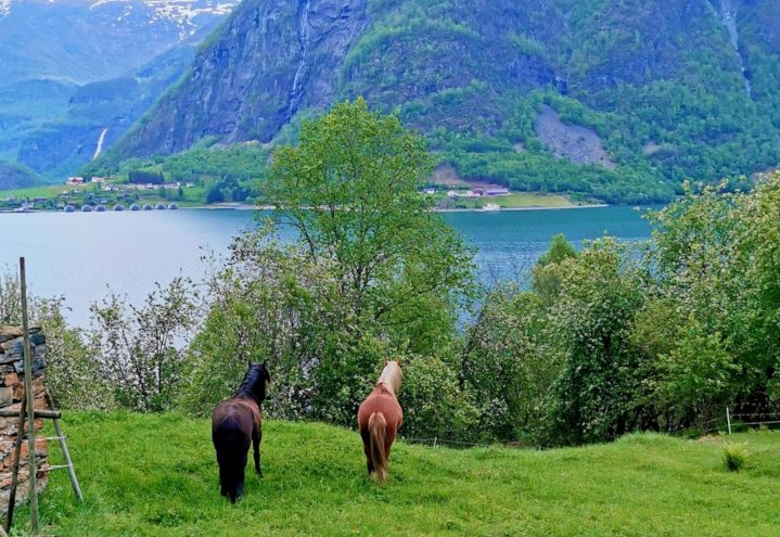 Bolstad Neverdal / Skjolden Sideri — foto 4