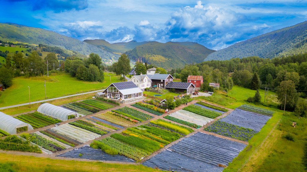 Bøtun Gard — foto 1