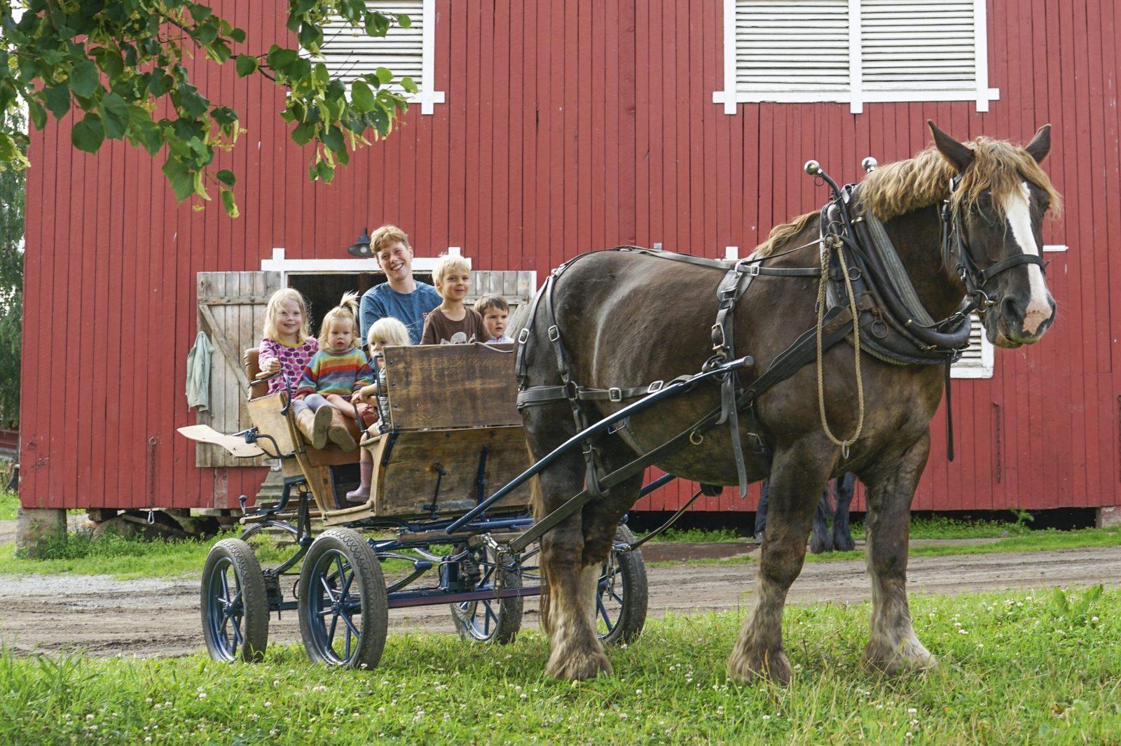 Fokhol Gård — foto 3