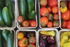 Fokhol Gård biodynamisk helhetsgård i Stange Vestbygd