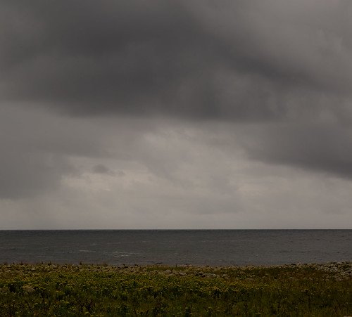 Grendamyrå gård i Randaberg med Jersey-melkekyr og eget ysteri som leverer heilmelk på glassflaske