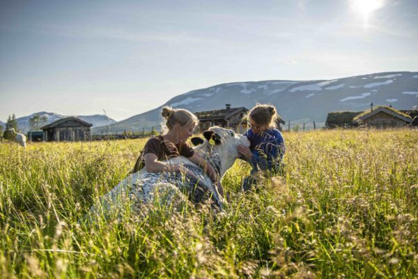 Hardanger Bygdeysteri — foto 1