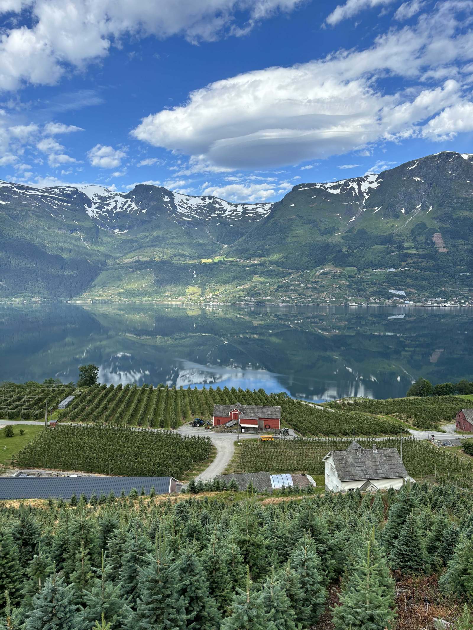 Hardangerbonden — foto 4