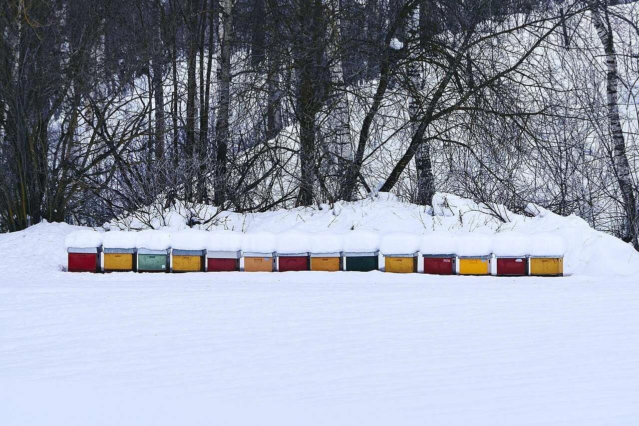 Selvbetjent gårdsbutikk med honning og bivoksprodukter på Heier Du Rietz i Gran på Hadeland