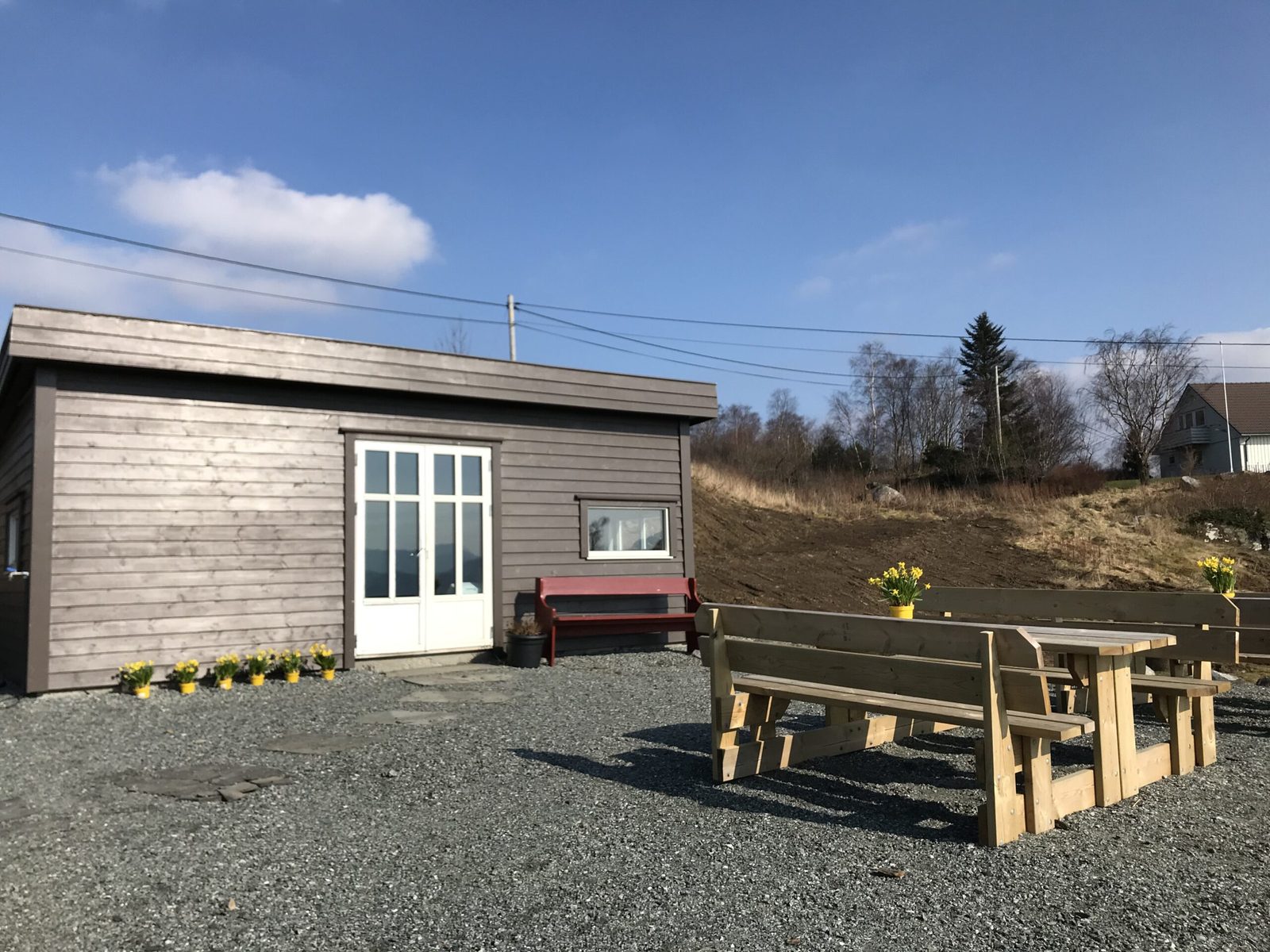 Helgøyfrukt — foto 2