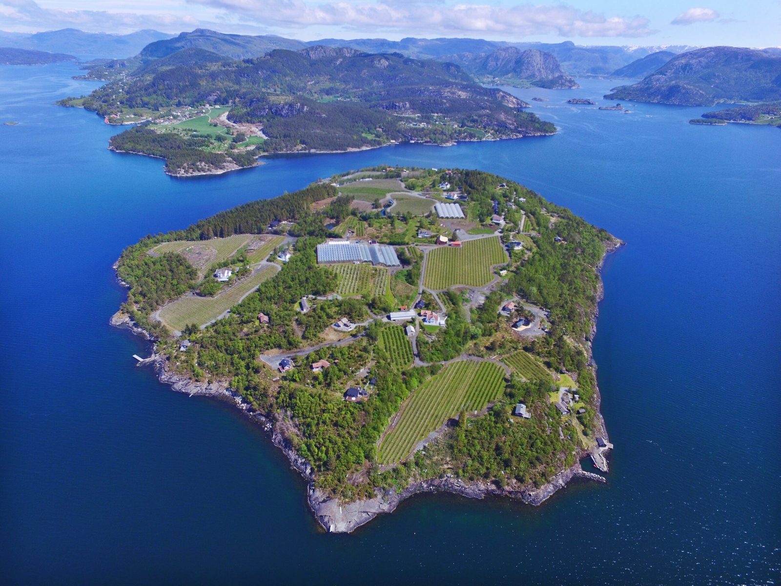 Helgøyfrukt — foto 5