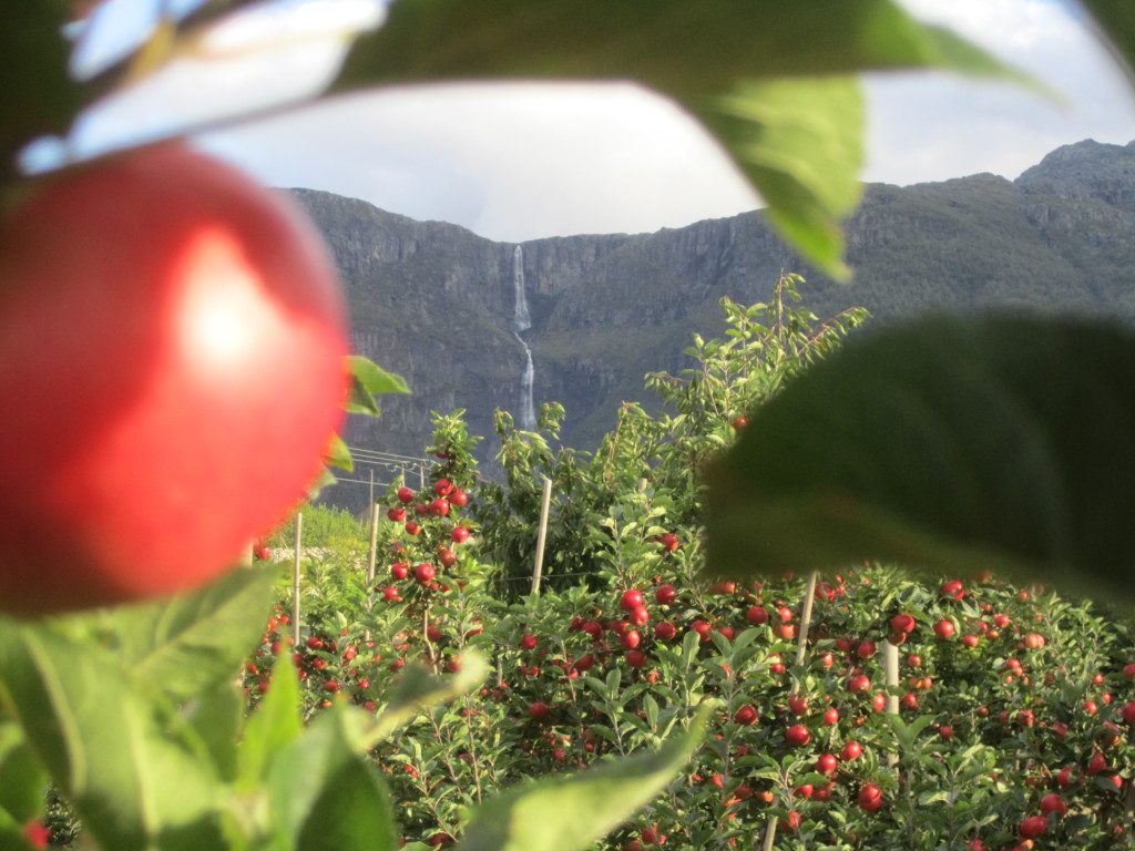 Helleland Gard — foto 4