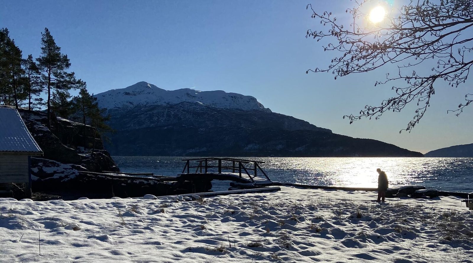 Hogganvik Landsby ysteri med kyr på beite i Vindafjord