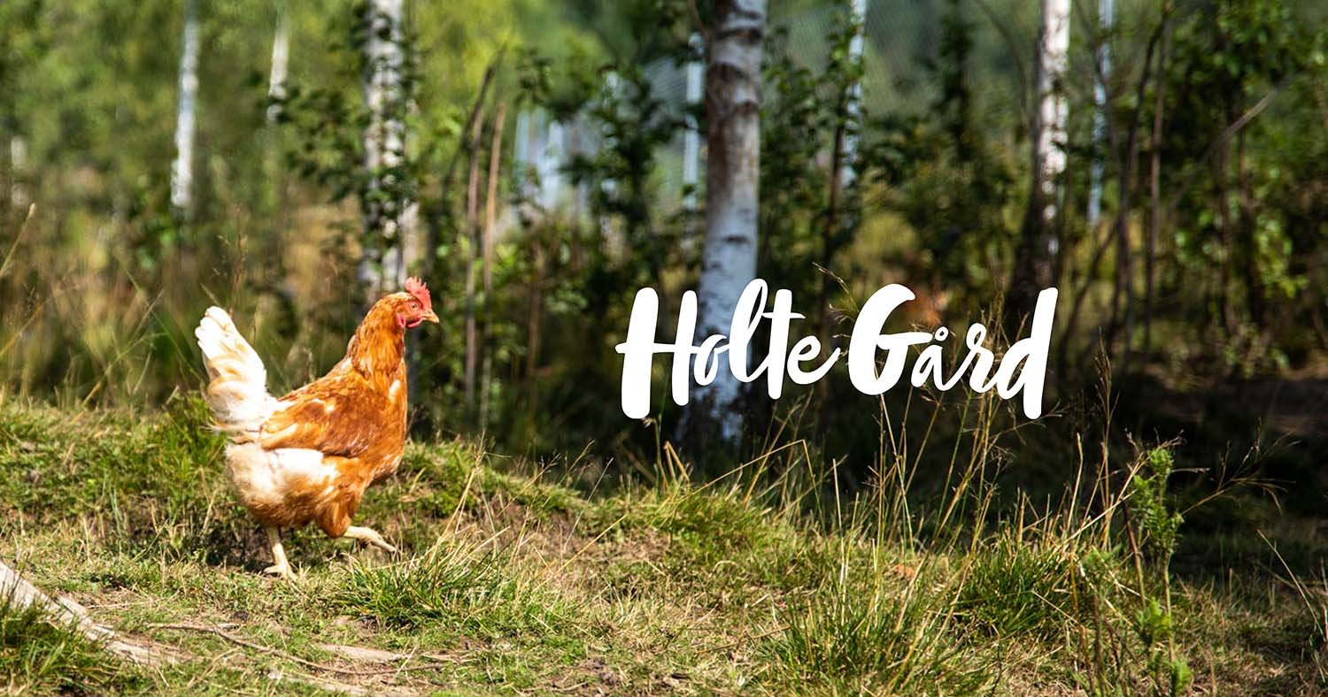 Holte Gård rød låve ved RV 38 i Drangedal med selvbetjent døgnåpen lokalmatbutikk