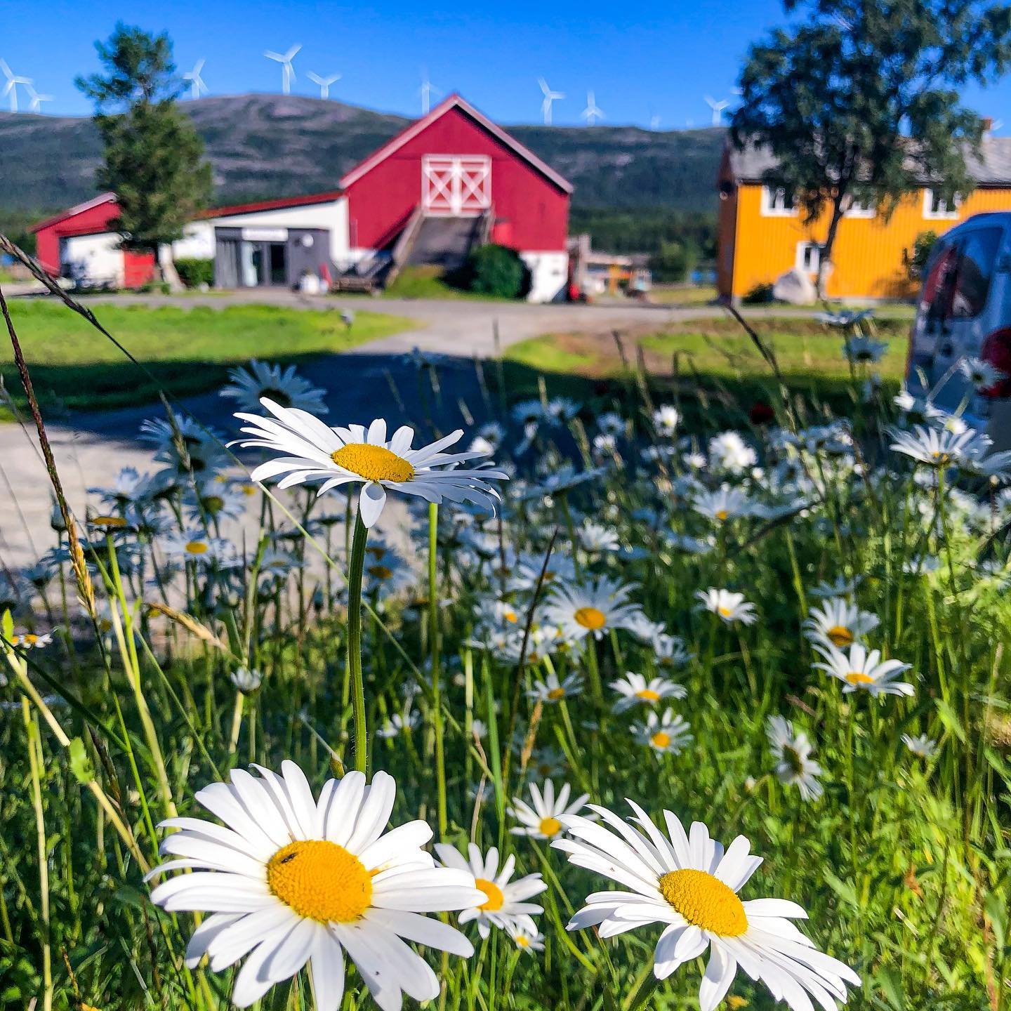 Humstad Gård ved Skråfjorden i Åfjord, familiegård med gårdsutsalg og bobilparkering