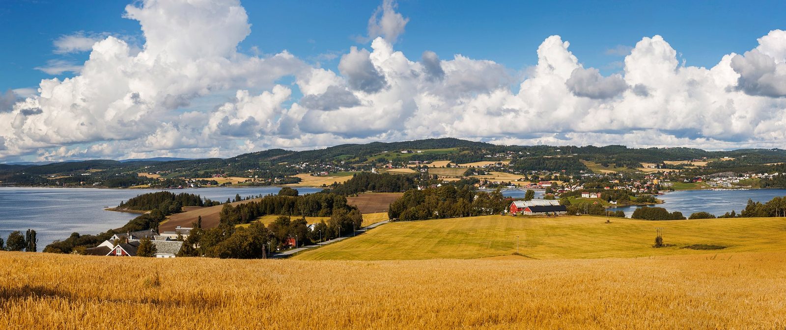 Bilde fra Inderøy Slakteri