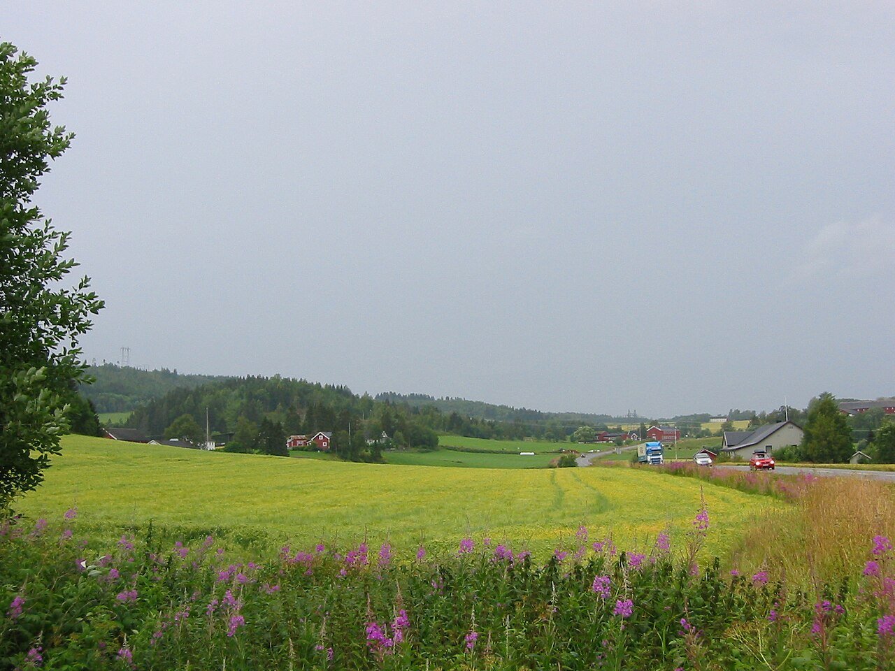 Jørem gård i Sparbu med bærutsalg og karusell-produksjon av jordbær i innen-Trøndelag