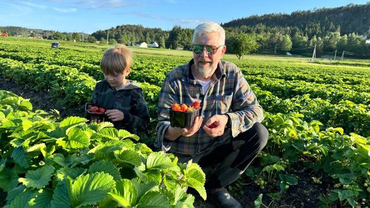 Kalvehagen Jordbær — foto 4