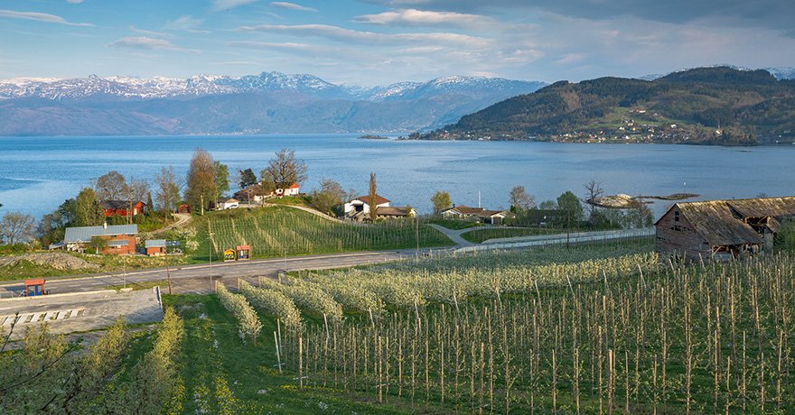 Sjuragarden ligger i fjøresteinene ved Hardangerfjorden langs Hardangerfjordvegen i Norheimsund
