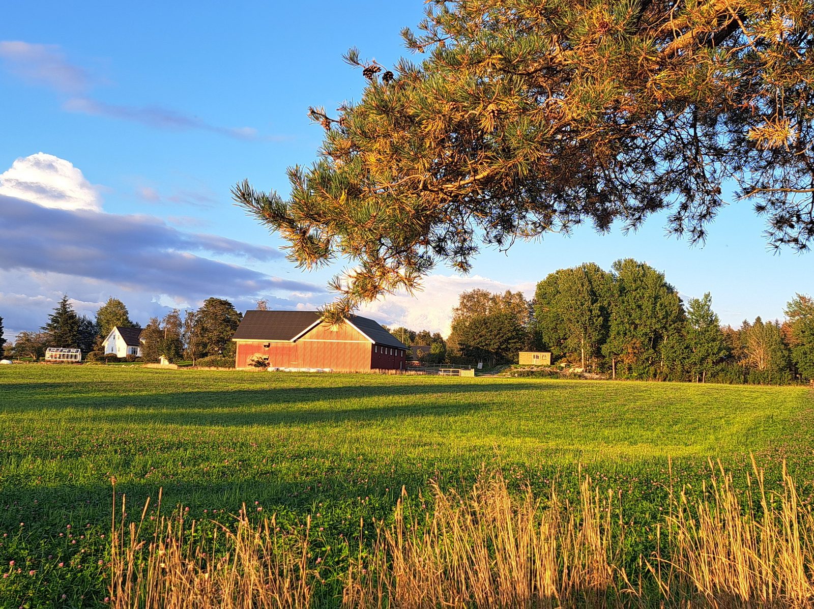 Bilde fra Kollerud gård