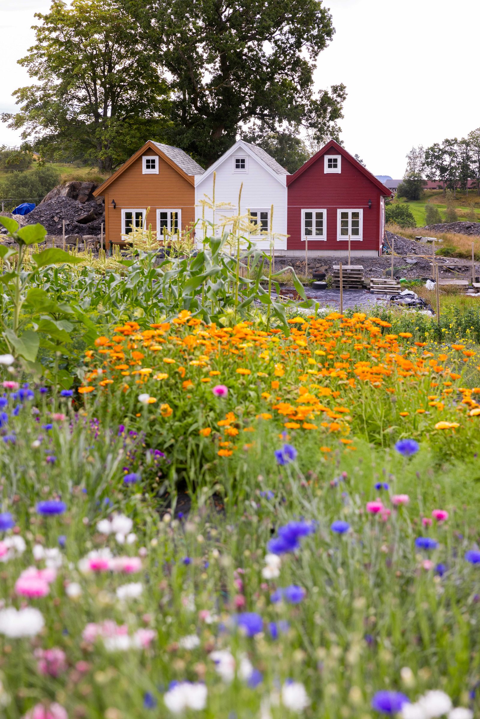 Bilde fra Lundemannsverk på Stord