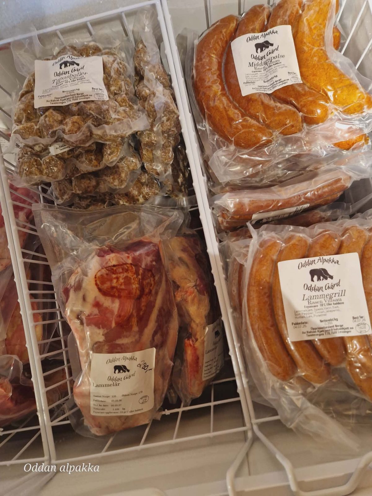 Bilde fra Oddan Alpakka