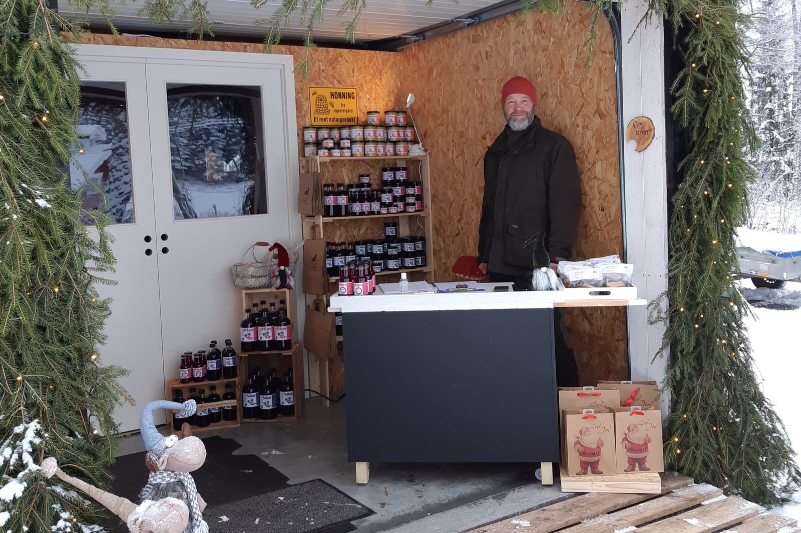 Solbærbusker på Øvre Ellingsrud Småbruk i østre Jevnaker, 430 moh