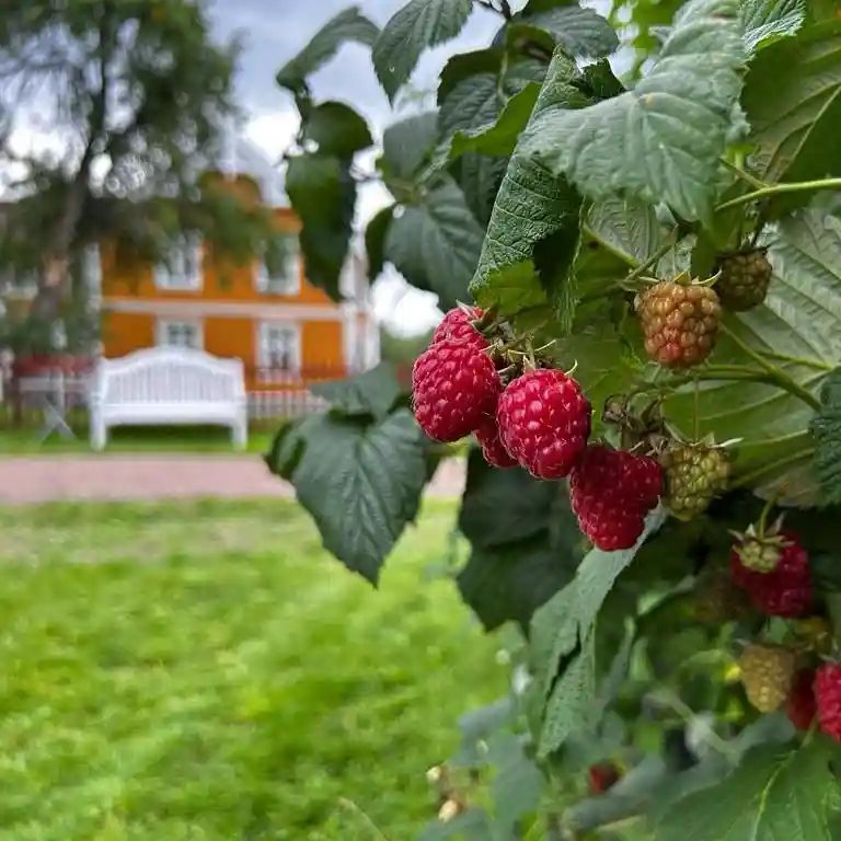 Røed Gård — foto 2