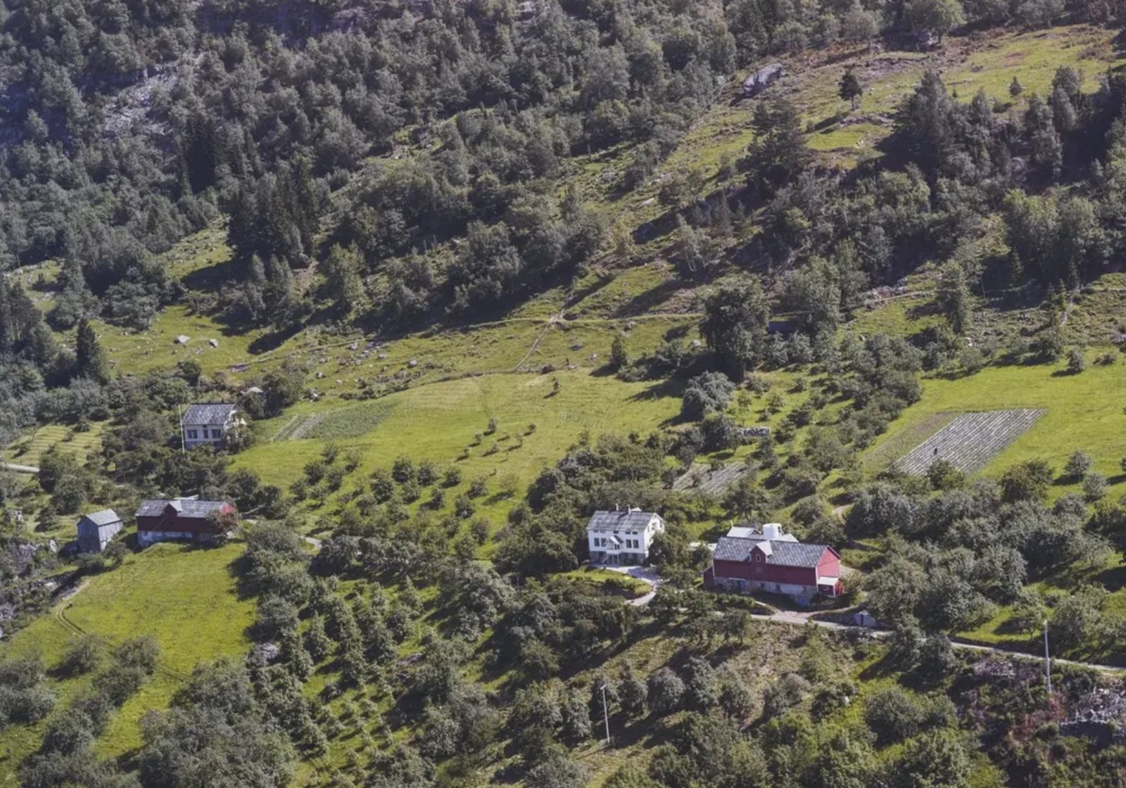 Sekse Sideri på Vie gard i Sekse i Ullensvang med eplehagar og utsikt mot Sørfjorden