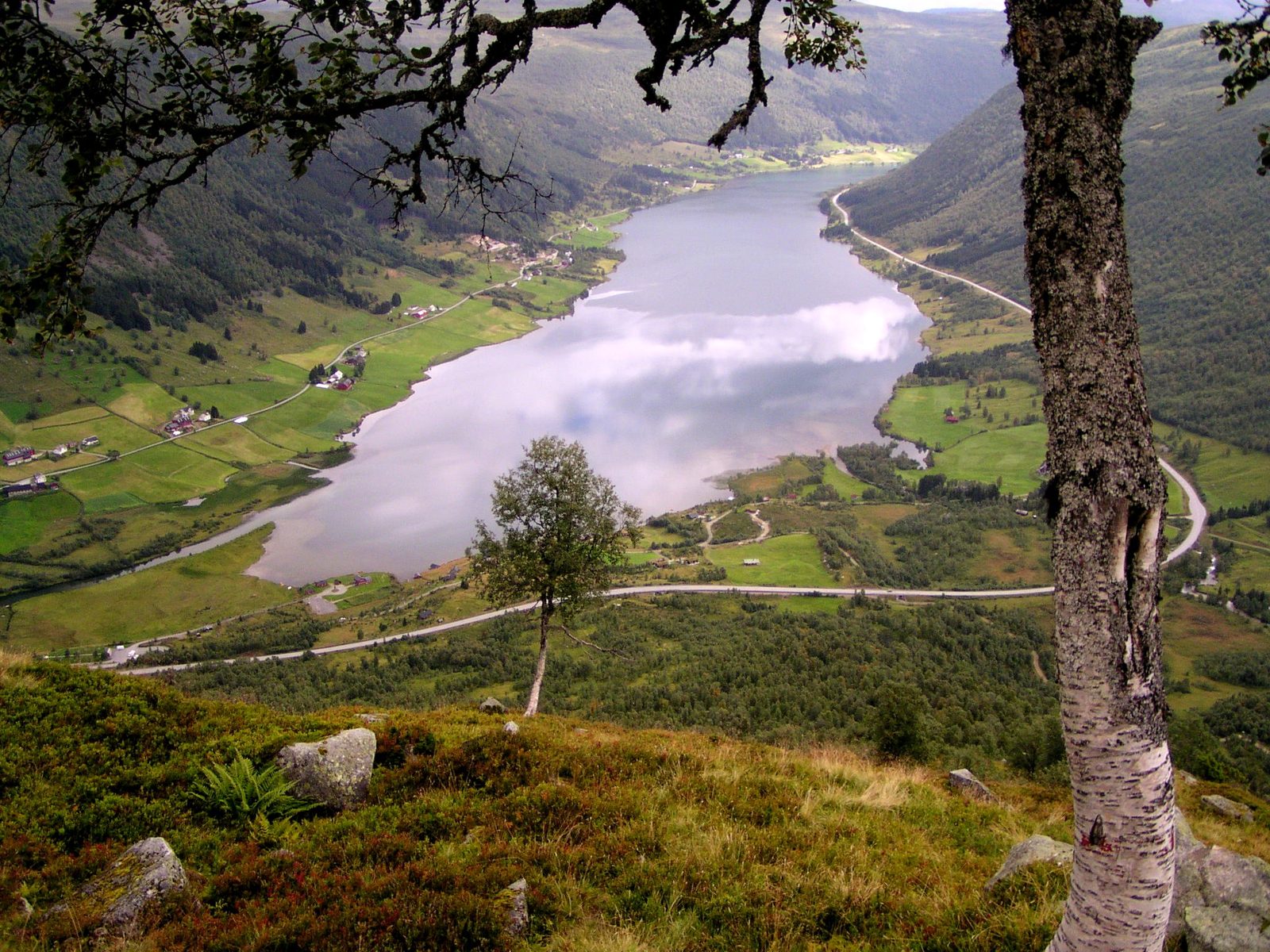 Selseng Gardsysteri — foto 5