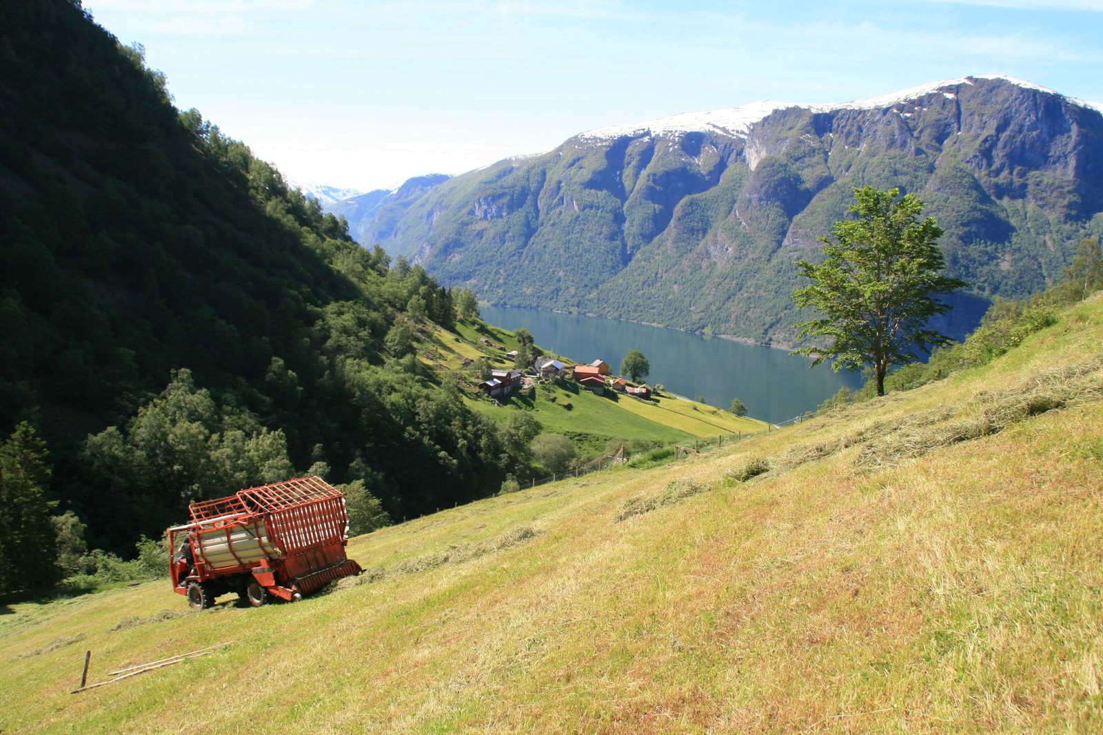 Skjerdal Stølsysteri — foto 1