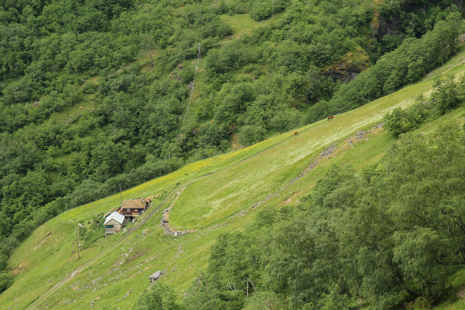 Skjerdal Stølsysteri — foto 3