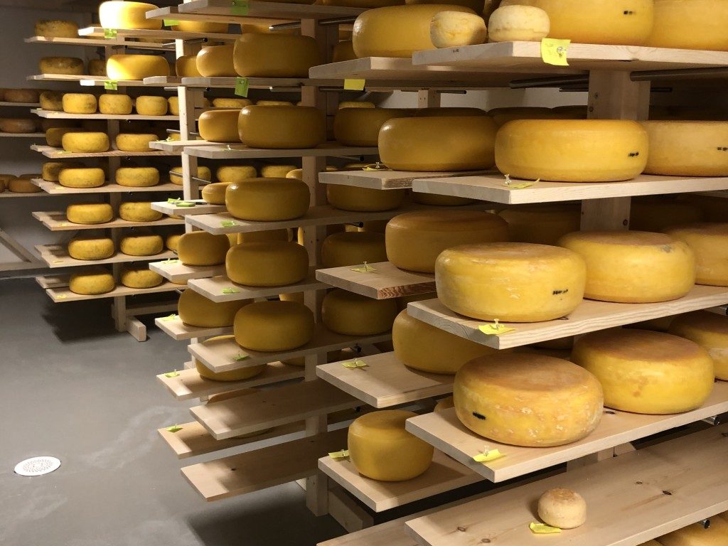 Snertingdal Ysteri i Gjøvik kommune med World Cheese-vinnende oster